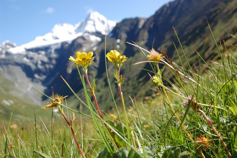 Ferienhaus Islitzer Hollersbach im Pinzgau Kültér fotó